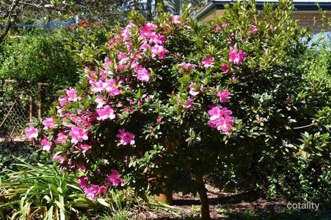 Property photo of 4 Greenway Court Highfields QLD 4352