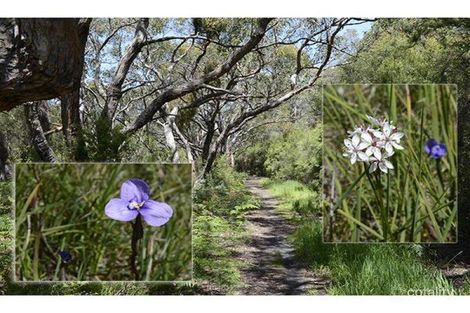 9 Manly St, Marengo, VIC 3233