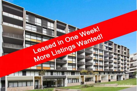 113/6 Victoria Park Pde, Zetland, NSW 2017