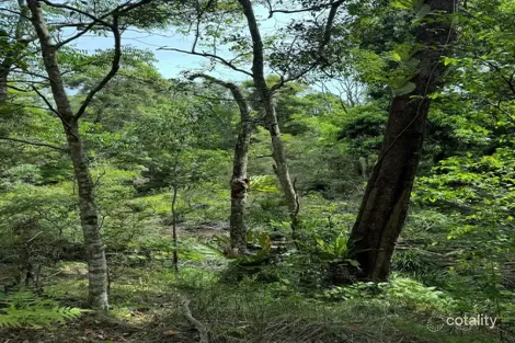 Property photo of 5 Tanby Court Mudgeeraba QLD 4213