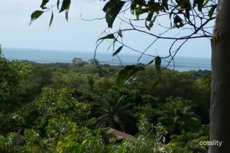 38 Savannah St, Palm Cove, QLD 4879