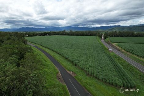 2319 Abergowrie Rd, Long Pocket, QLD 4850