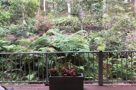 Property photo of 56 Currumbin Chase Currumbin QLD 4223