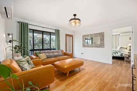 Property photo of 6 Ripley Avenue Pialba QLD 4655