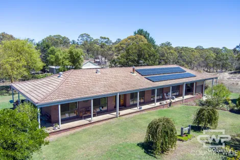19 Government Lane, Ben Lomond, NSW 2365