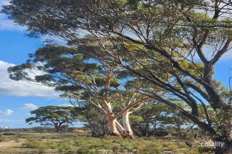 Property photo of 65 Richardson Street Meckering WA 6405