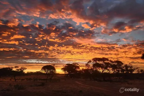 Property photo of 65 Richardson Street Meckering WA 6405