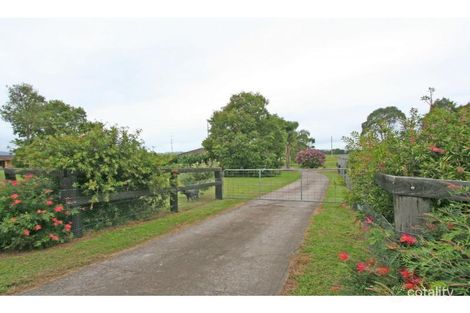 Property photo of 62 Standen Drive Lower Belford NSW 2335