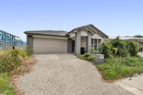 24 Rohl Rd, Walloon, QLD 4306