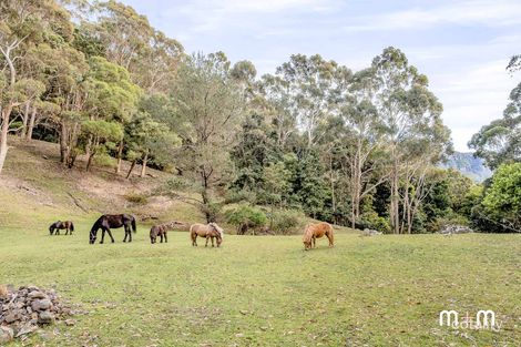 Property photo of 1 Saywell Place Wombarra NSW 2515