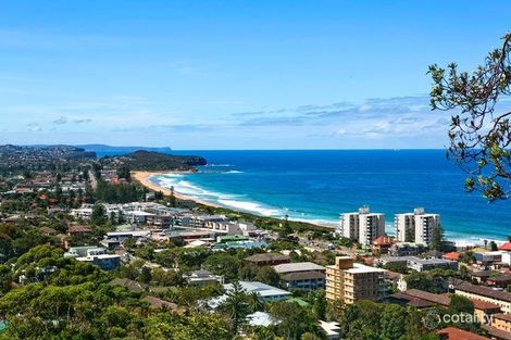 Property photo of 67 Edgecliffe Boulevard Collaroy Plateau NSW 2097