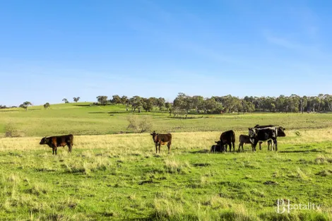 615 Old Mill Rd, Bylands, VIC 3762