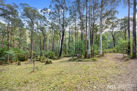 43 Fisherman Dr, Reefton, VIC 3799