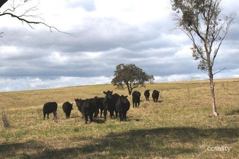 1005 Summer Hill Rd, Summer Hill, NSW 2421