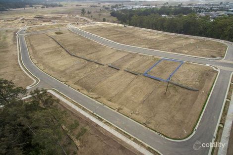 Property photo of 11 Kurrabung Drive Fletcher NSW 2287