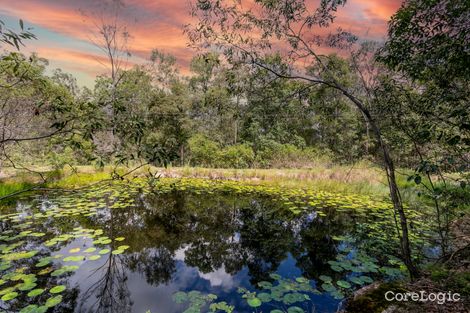 Property photo of 197-205 Newspaper Hill Road Belli Park QLD 4562
