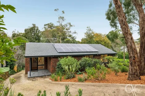 64 Main Rd, Belair, SA 5052