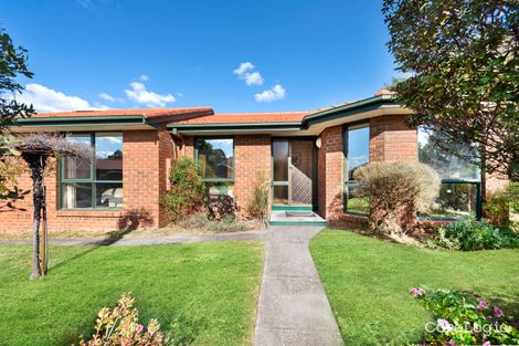 Property photo of 10/383-389 Warrigal Road Burwood VIC 3125