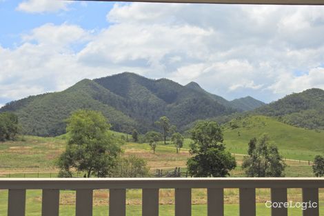 Property photo of 986 Rise And Shine Road Yalboroo QLD 4741