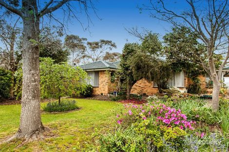 16 Winifred Rd, Mooroolbark, VIC 3138