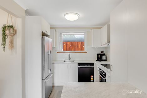 Property photo of 1/17 Wright Street Wilsonton QLD 4350