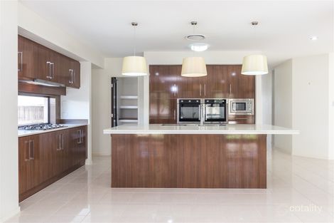 Property photo of 52 Obrist Place Rochedale QLD 4123