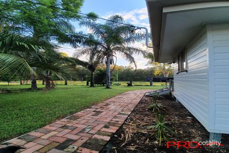 1183 Paddys Flat Rd, Tabulam, NSW 2469