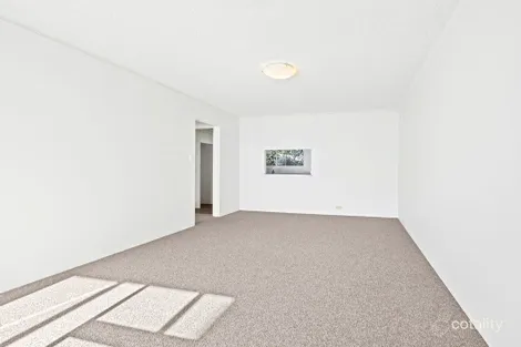 Property photo of 5/116 Mount Street Coogee NSW 2034