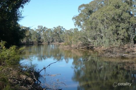 Property photo of 53 Jamieson Avenue Barham NSW 2732