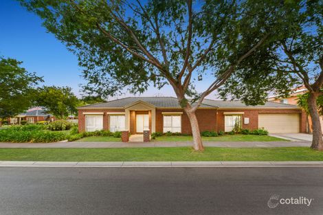 Property photo of 8 Palm Grove Boulevard Aspendale Gardens VIC 3195