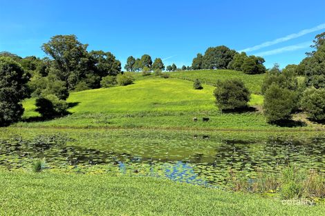 Property photo of 728 Bellingen Road Missabotti NSW 2449