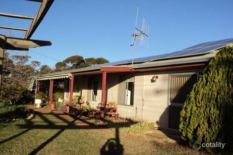 Property photo of 16 Graham Street Loveday SA 5345