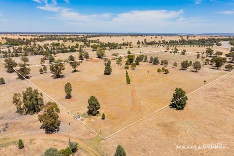 38 Boree St, Grong Grong, NSW 2652