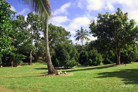 Property photo of 3353 Mossman Daintree Road Daintree QLD 4873