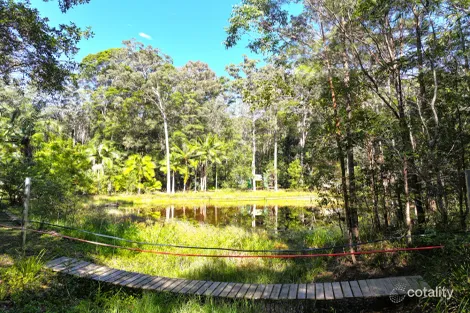 Property photo of 272 Ringtail Creek Road Ringtail Creek QLD 4565