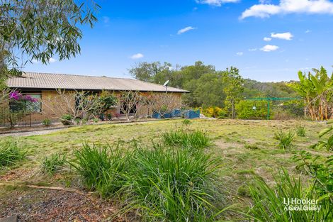 Property photo of 11 Wessling Close Cashmere QLD 4500