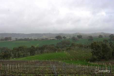 621 Spring Farm Rd, Polish Hill River, SA 5453