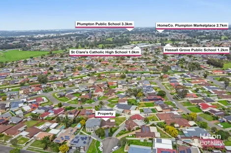Property photo of 3 Sonia Place Hassall Grove NSW 2761