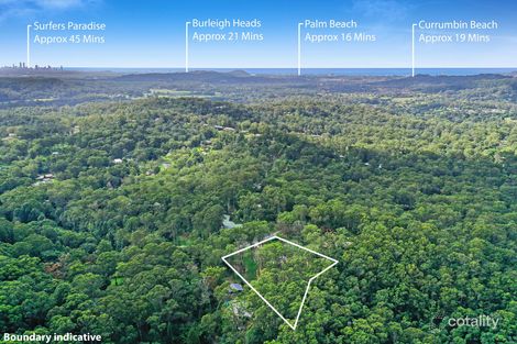 Property photo of 16 Carapook Crescent Tallebudgera QLD 4228