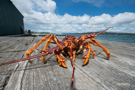 1 Esplanade, Triabunna, TAS 7190