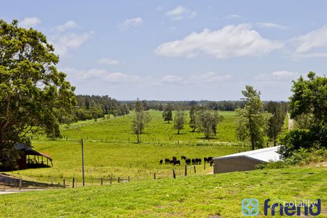 Property photo of 140 Marsh Road Bobs Farm NSW 2316
