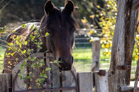 Property photo of 70A Stoneleigh Road Mansfield VIC 3722