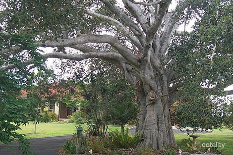 10 Cronin Ave, Junction Hill, NSW 2460