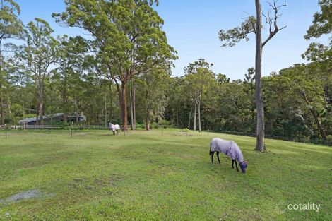 Property photo of 264 Trees Road Tallebudgera QLD 4228
