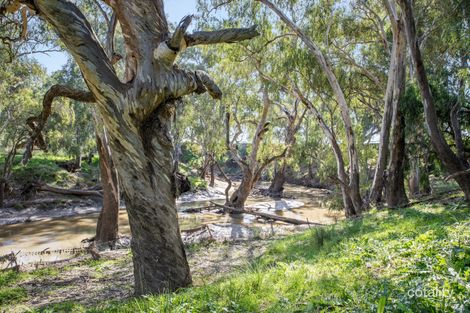 Property photo of 155 Brooklyn Road Walla Walla NSW 2659