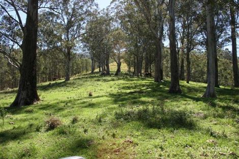 308 Masseys Creek Rd, Eccleston, NSW 2311