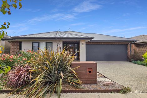 41 Iris Loop, Armstrong Creek, VIC 3217