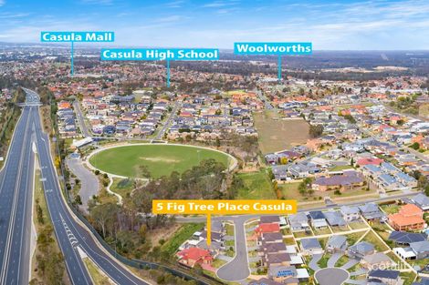 Property photo of 5 Figtree Place Casula NSW 2170