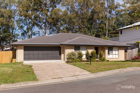 Property photo of 11 Boxwood Place Carseldine QLD 4034