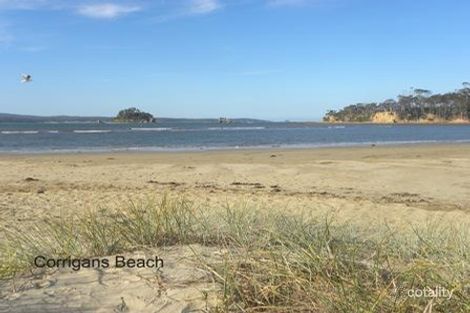 20 Catalina Dr, Catalina, NSW 2536